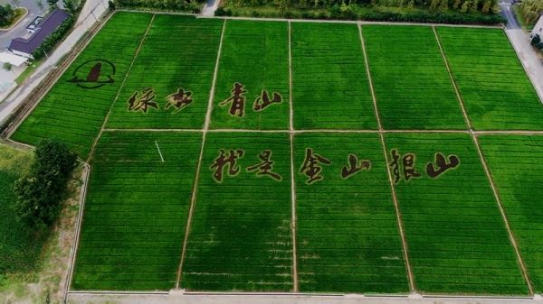 Поддержка частного сектора, политические планы, гармония с природой, весна на Укан-роуд - смотрите «Китайскую панораму»- 520